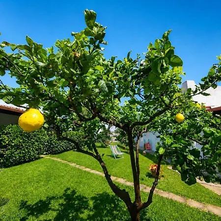 Dimora Da Pippi - Relax Nel Vicino Otranto 4*